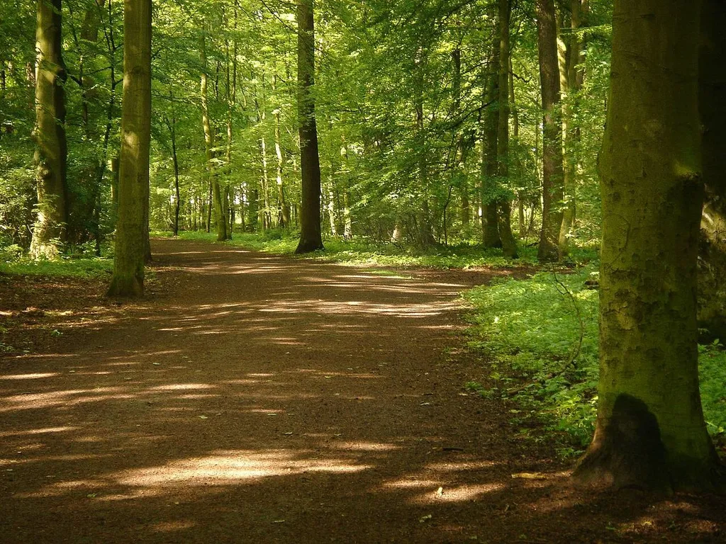 Hannover, Eilenriede
