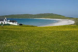 Tiree