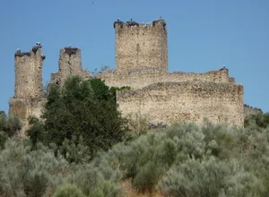 Castle of Mayoralgo