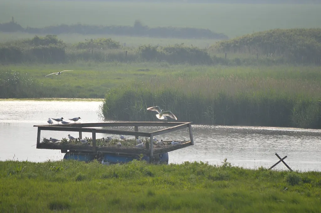 Holland Haven Marshes