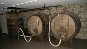 Mohren beer experienceworld