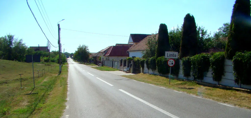 Limba