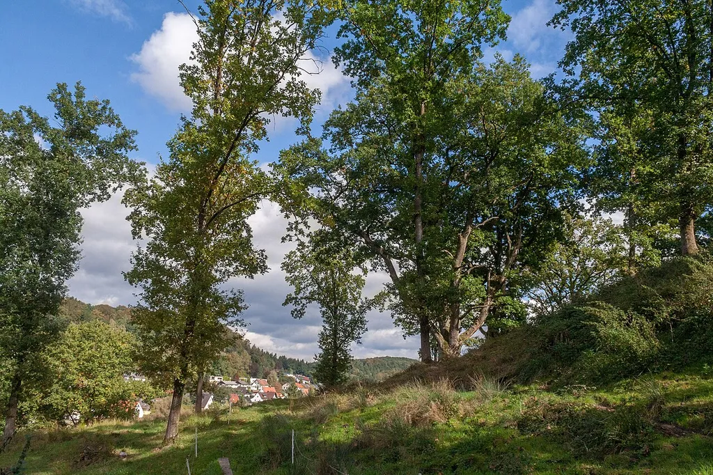 Burgeichen am Burgberg von Burgthann, Naturdenkmal