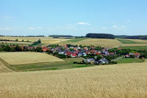 Rinschheim