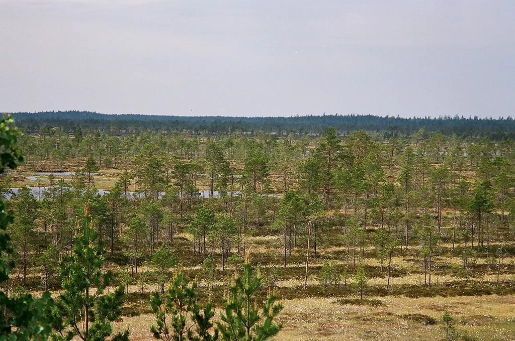 The Kauhaneva mire, one of the biggest mires in the southern half of Finland and a very significant nesting site for many bird species (especially cranes), is protected in the Kauhaneva–Pohjankangas National Park in the municipality of Kauhajoki, Southern Ostrobotnia.