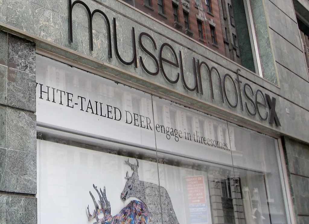 The Museum of Sex, at Fifth Avenue and 27th Street, first opened its doors to the public in 2002 and explores the many aspects of human sexuality.