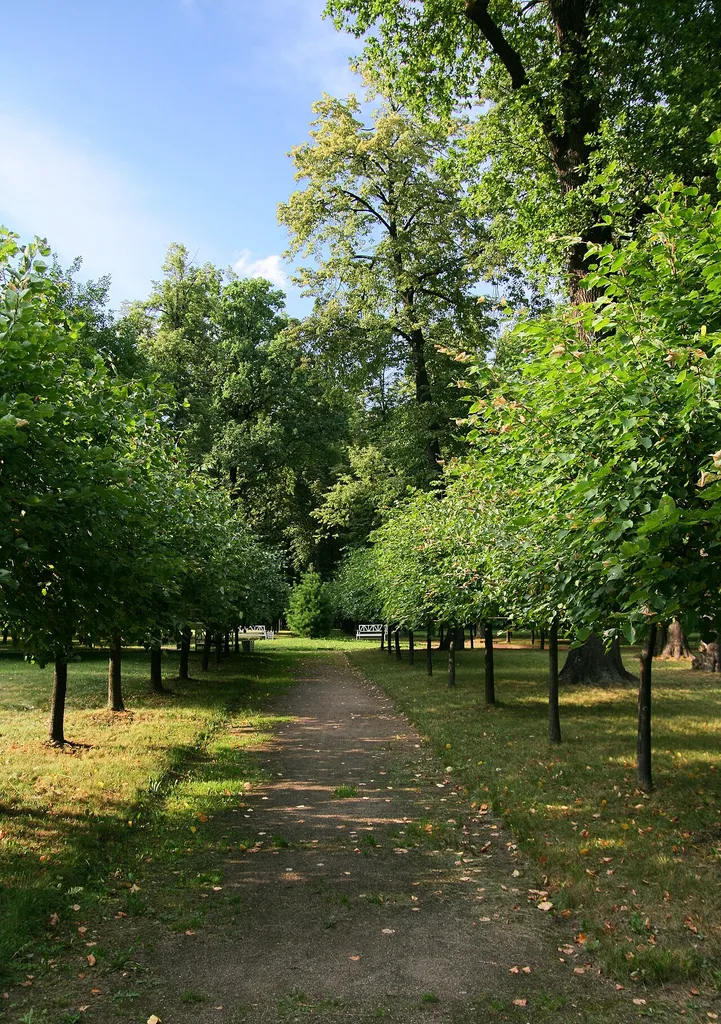 Ostankino Park