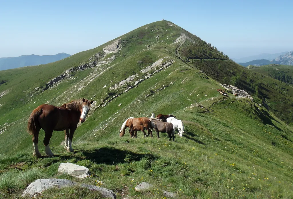 Monte and Passo Frontè (Ligurian Alps, Italy) from Cima Garlenda