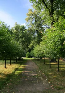 Ostankino Park