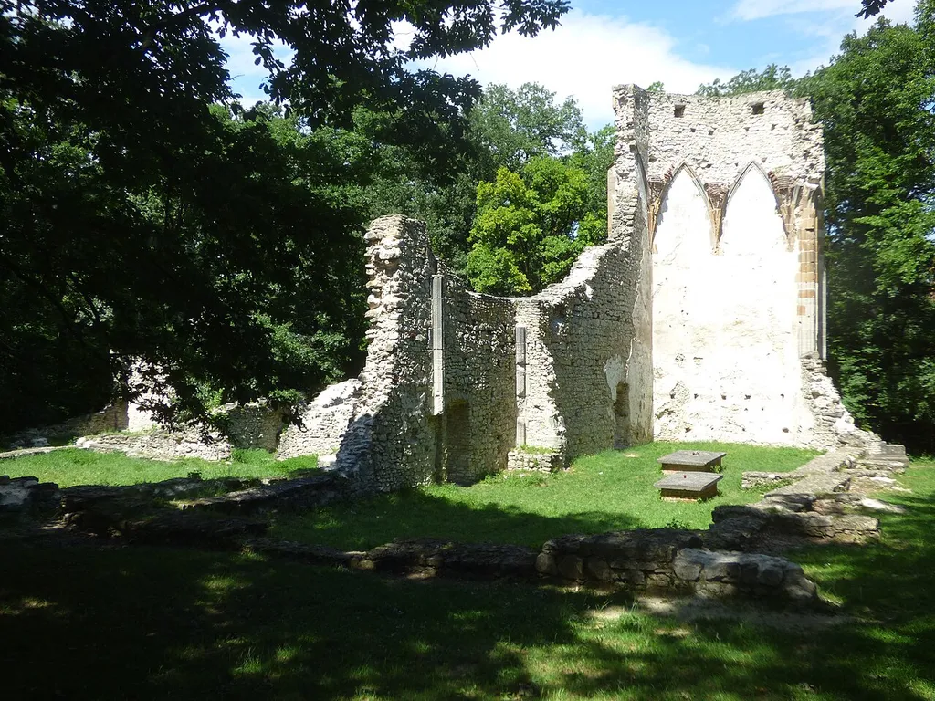 Nagyvázsony, a pálos kolostor romjai