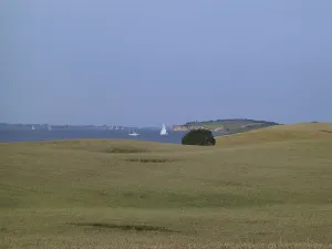 Bjørnø