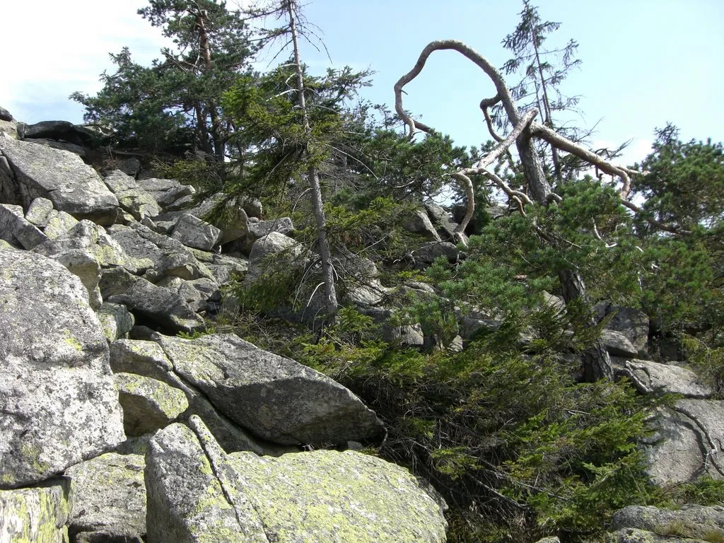Granite blocks on the Haberstein in the Fichtelgebirge mountains, in Bavaria, Germany