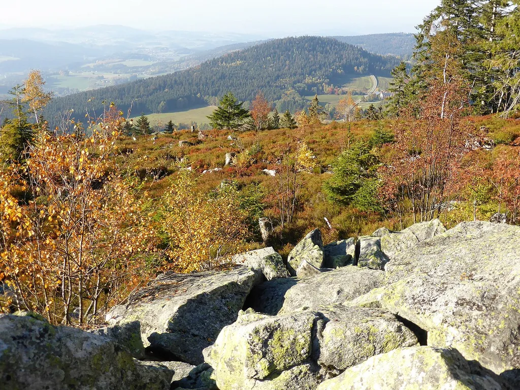LSG Bayerischer Wald