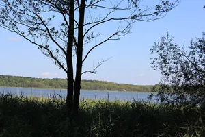 Damerower See