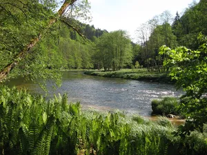 Schutz des Landschaftsteils Ilztal im Bereich des Stadt- und des Landkreises Passau