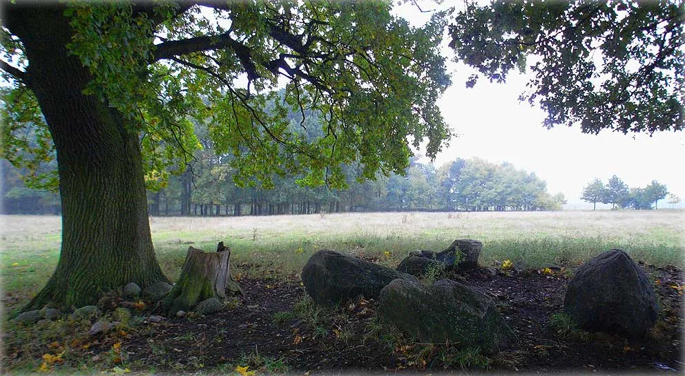 Mehmke Steingrab 3, Chambered Tomb in Saxony-Anhalt Just 150m NE of the Mehmke Steingrab 2, a few remains of another Chambered Tomb. References: Johann Friedrich Danneil 'Specielle Nachweisung der Hünengräber in der Altmark' Sechster Jahresbericht (Neuhaldensleben-Gardelegen 1843) No. 62 Eduard Krause, Otto Schoetensack 'Die megalithischen Gräber (Steinkammergräber) Deutschlands' Zeitschrift für Ethnologie 25. Band v. 1893, No. 97, p. 149 Hartmut Bock, Barbara Fritsch, Lothar Mittag 'Großsteingräber in der Altmark' Landesamt für Denkmalpflege und Archäologie Sachsen-Anhalt Landesmuseum für Vorgeschichte, Halle (Saale) 2006, No. 33, p. 132
