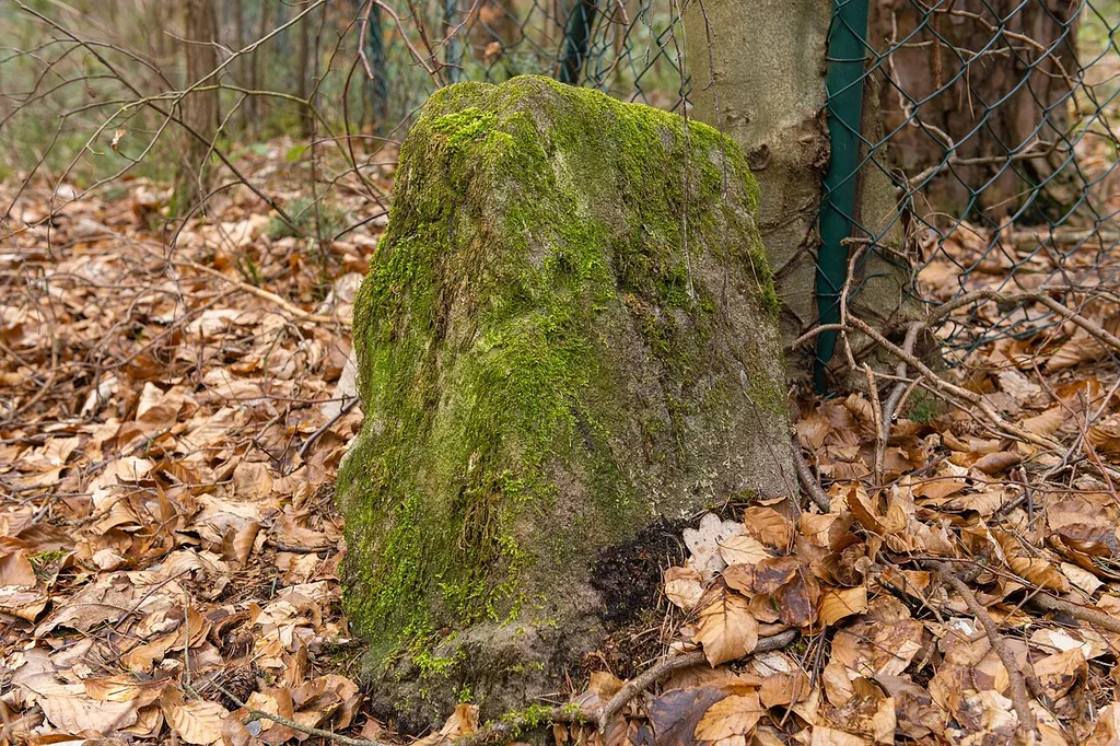 Grenzstein Fürther Stadtwald in Fürth