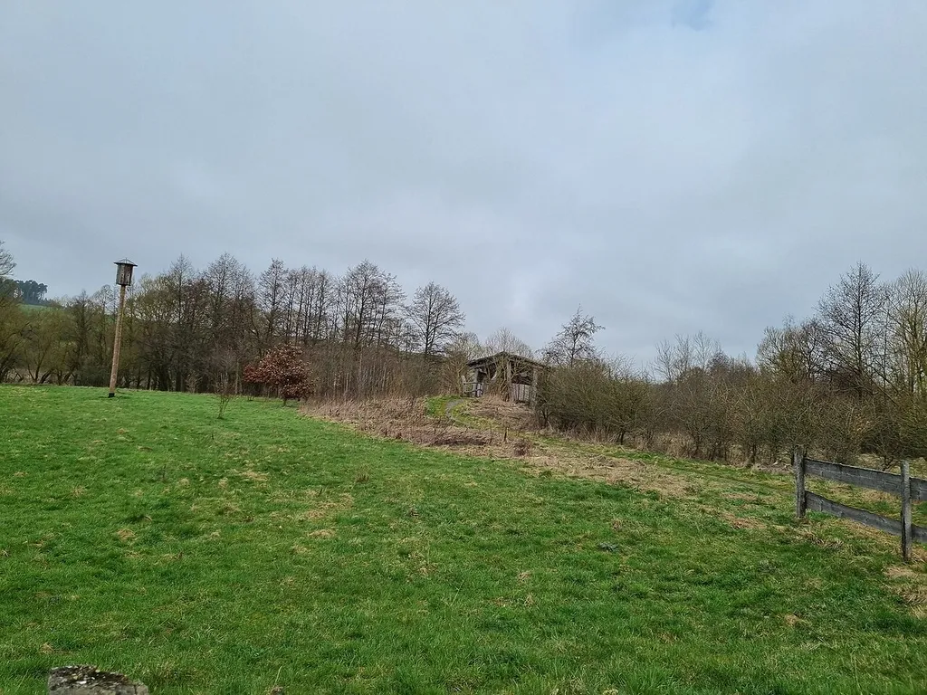 Naturschutzgebiet Auf dem Tiergarten bei Frankenberg
