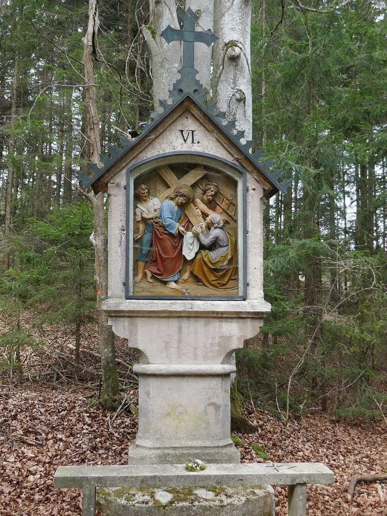 Via Salvatoris, Station VI