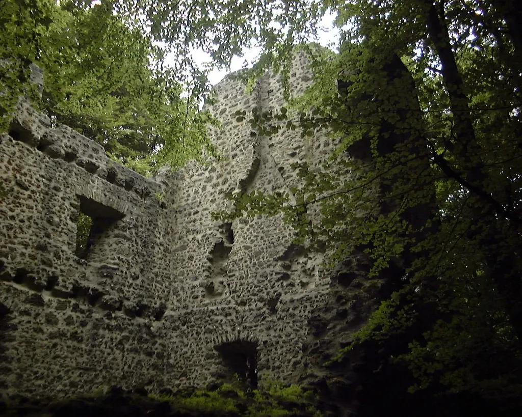 Burgruine Freudenkoppe bei Neroth/Eifel