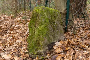 Grenzstein Fürther Stadtwald in Fürth