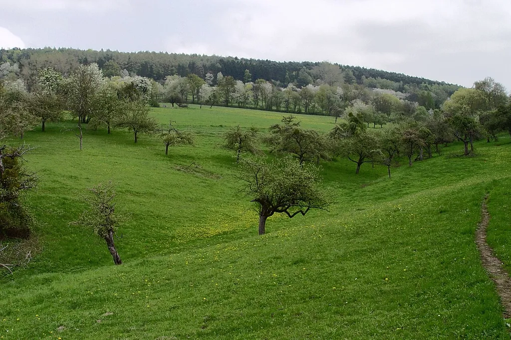 Spessart