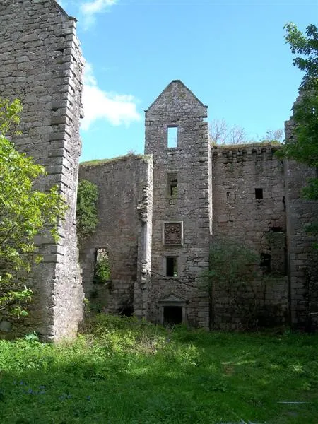 Ruins of Old Dalquarran Castle