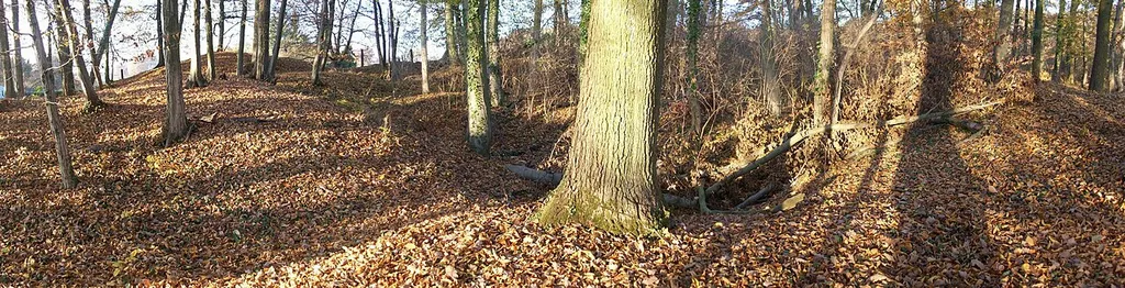Mögliche Wallreste an einem der vermuteten Plätze der abgegangenen Burg Schlierbach in der erhöht liegenden Baumgruppe östlich der heutigen Straßenmühle zwischen Schlierbach und Langstadt in Hessen. Blickrichtung Osten