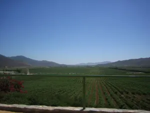 Guadalupe, Baja California