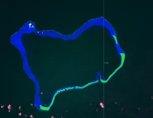 Ant Atoll