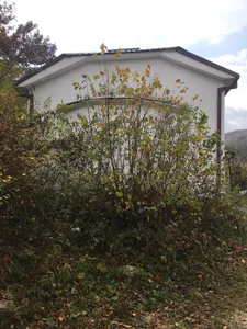 Saint Paraskeva Church, Kozica