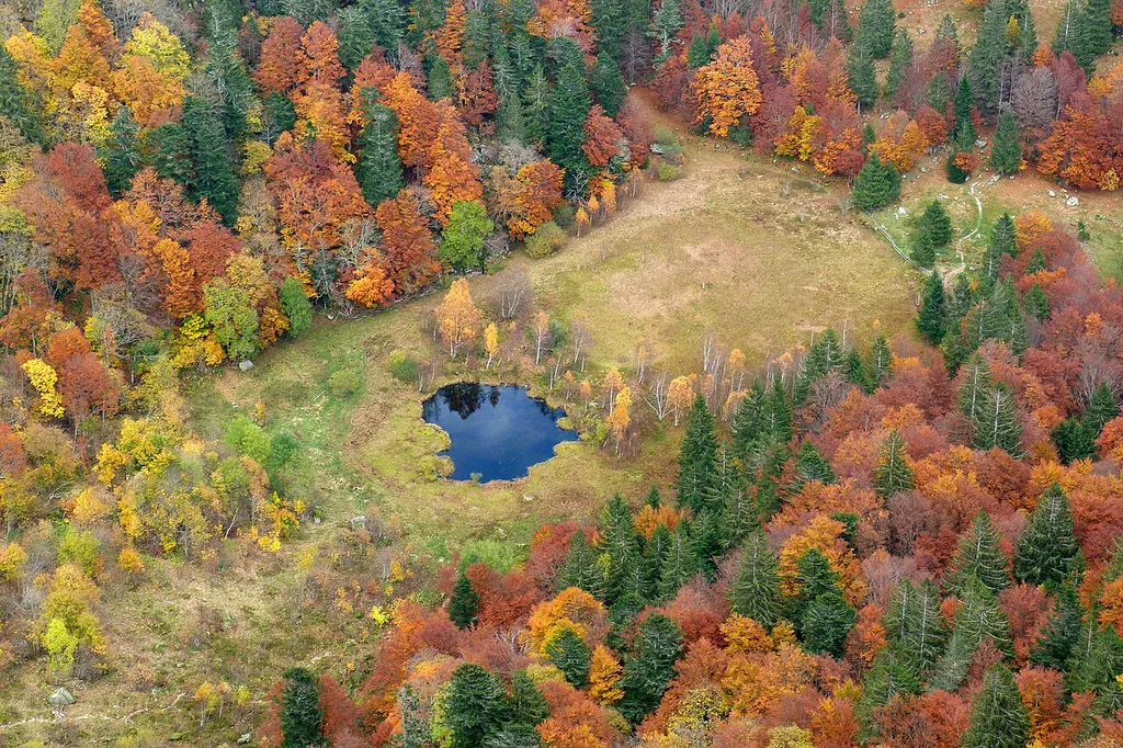 Réserve naturelle nationale de Frankenthal-Missheimle