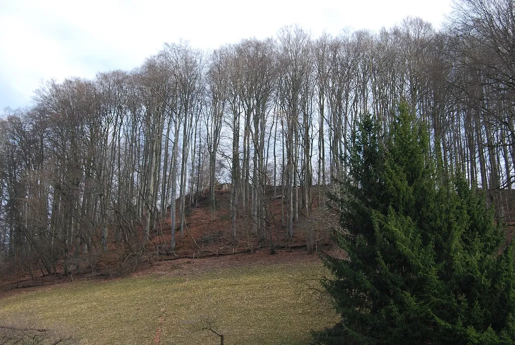 Grünenberg castle ruin