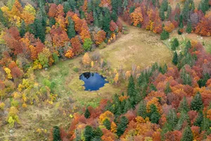 Réserve naturelle nationale de Frankenthal-Missheimle