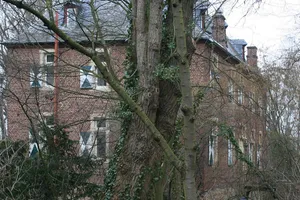 Hallenburg Disternich