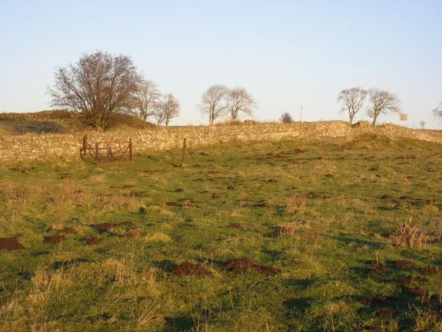 (The site of) Milecastle 31 just east of Brocolitia