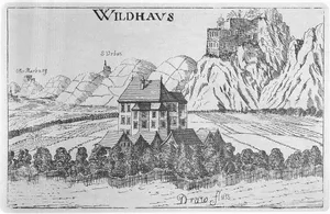 Viltuš Castle