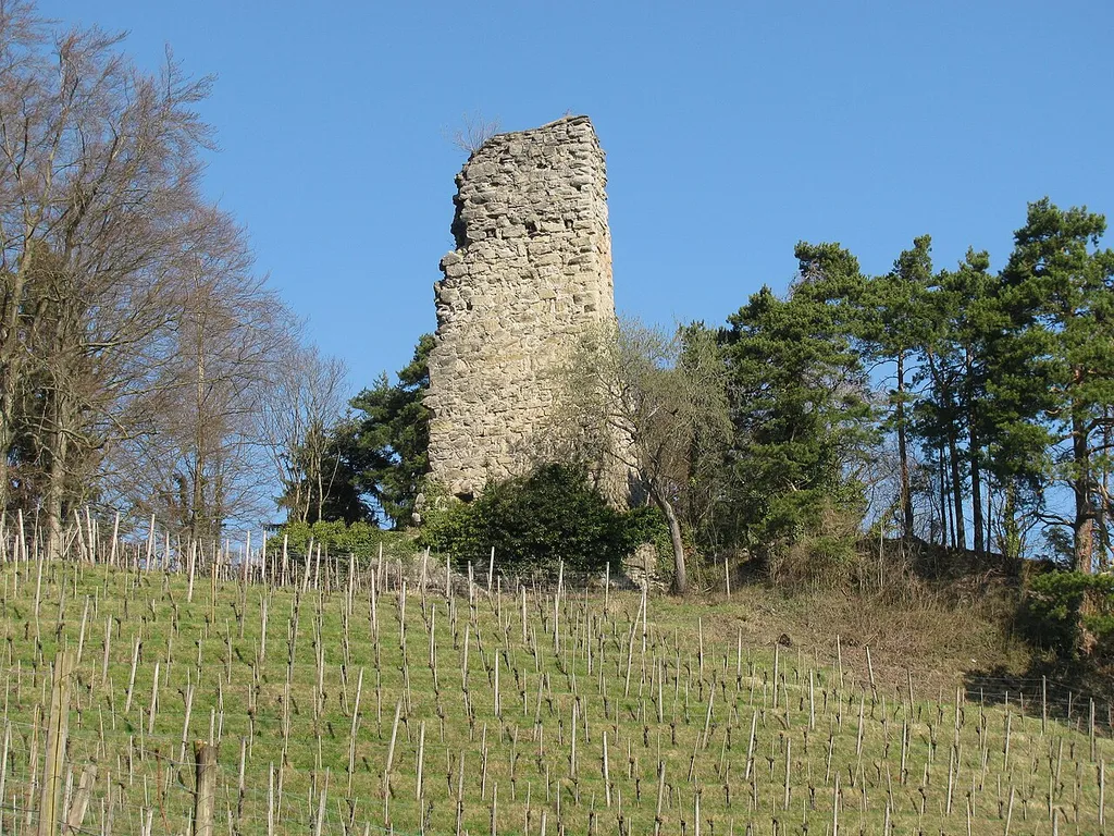 Burgruine Grimmenstein bei St. Margrethen aus Richtung Süden