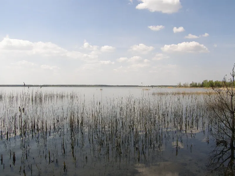 Der Gräbendorfer See