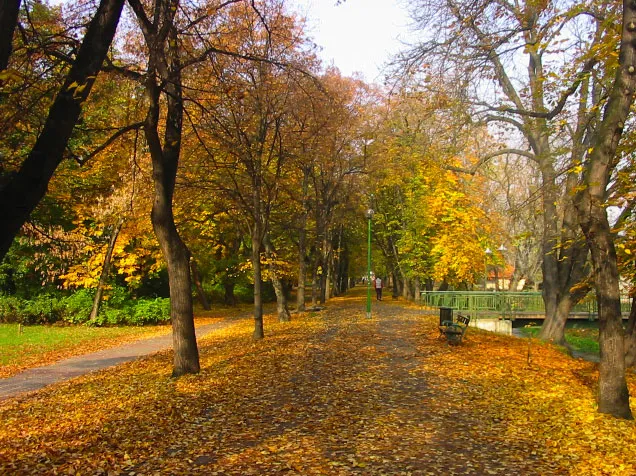 Archbishop's Garden