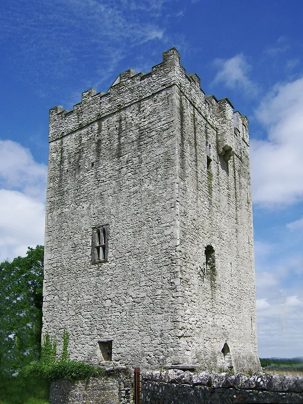 Castles of Leinster: Tubbrid, Kilkenny (2)