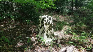 Belgium-Netherlands boundary stone no. 4a