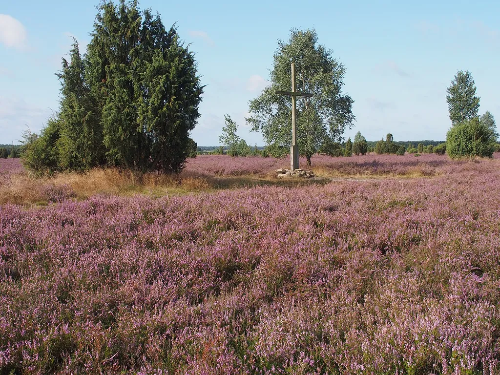 Südheide Nature Park