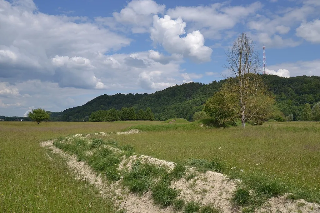In the nature reserve, ramparts have been raised in order to foster plants which are specialized in semi-arid habitats