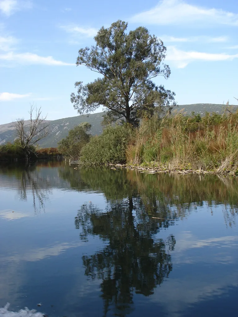 Nature park and ornitological reserve near Čapljina, Bosnia and Herzegovina.
