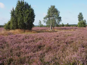 Südheide Nature Park