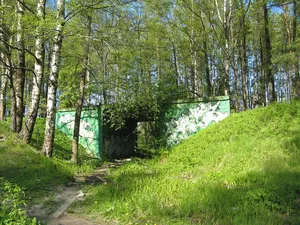 ORANEL bridge No2 (Martyshkino, Shishkin street)