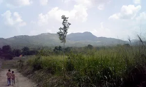 Nā Uyana Monastery