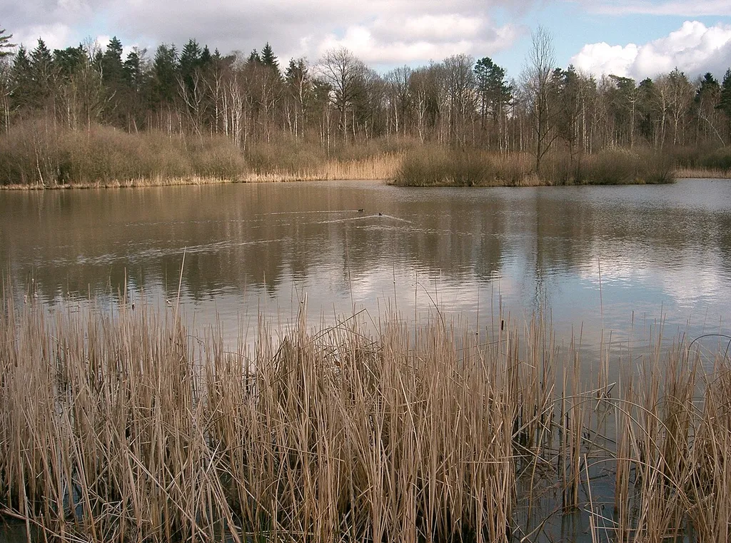 Swabian-Franconian Forest Nature Park
