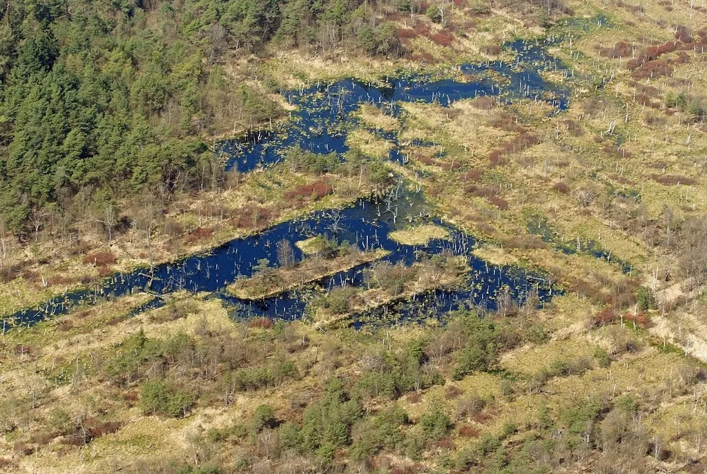 Dorumer Moor / Fotoflug von Nordholz-Spieka nach Oldenburg und Papenburg